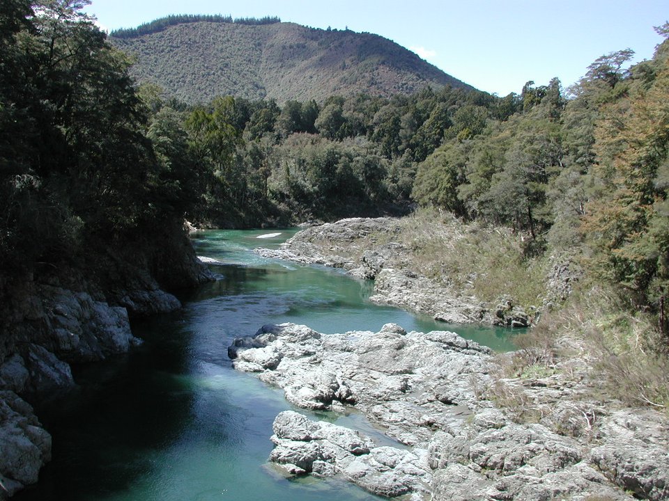 The Hobbit | Pelorus River — Barrels Under the Beech Trees