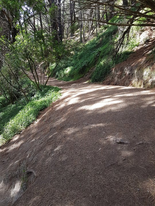 The Lord of the Rings | Mount Victoria Hobbit’s Hideaway — Get Off the Road