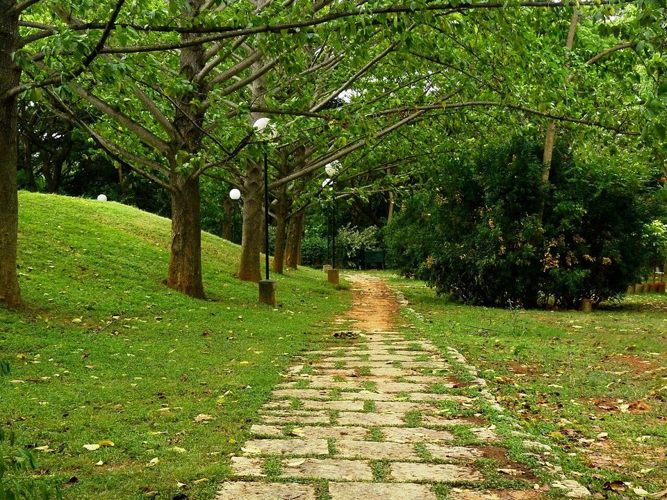 Biography | Philipp Navratil — One Exchange Term on Bannerghatta Road