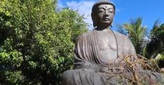 Jodo Mission Buddha Survives …