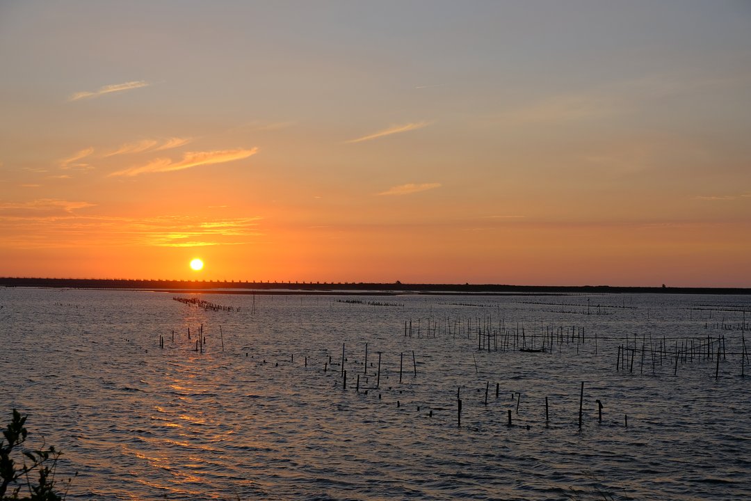 Someday or One Day | Qigu Seawall Sunset Trail — One Kilometre of Ordinary Happiness — photo 2