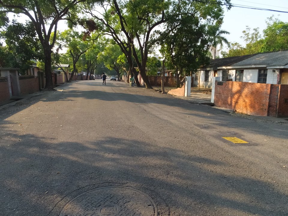 A Touch of Green | Guangfu New Village — The Street That Outlived Its Government