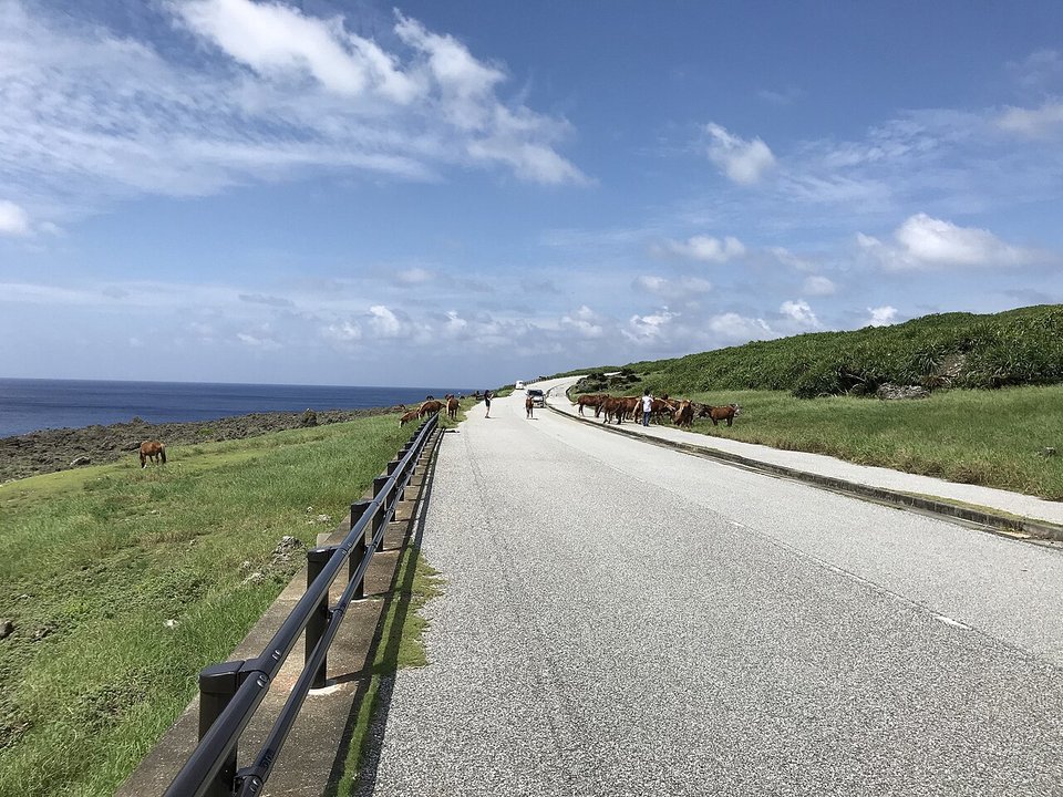 Dr.コトー診療所 Dr. Coto’s Clinic | 南牧場線 South Pasture Road — House Calls Against the Wind