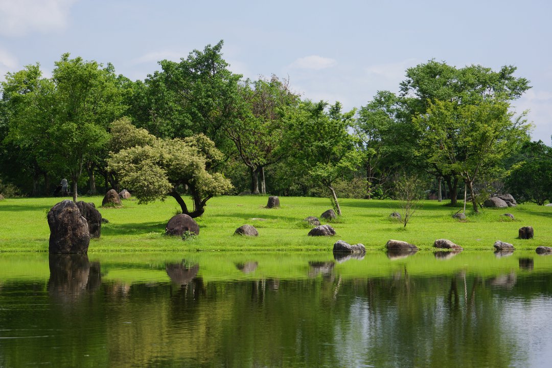 Someday or One Day | Luodong Sports Park — The Tree You Tell Things To