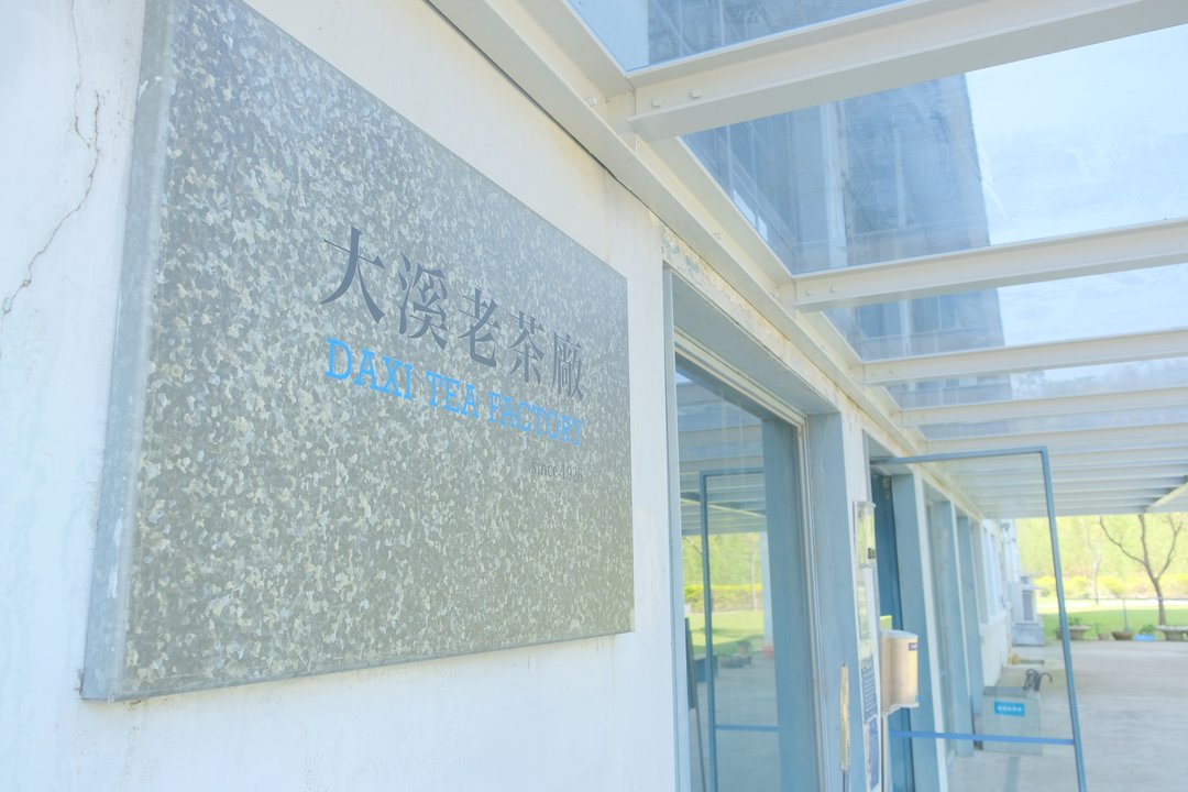 Gold Leaf | Daxi Old Tea Factory — Where the Light Is Aimed at the Leaf — photo 2