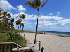 Weekend Plunge at the Beach i…