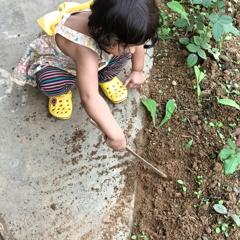 Understanding Love from a New…