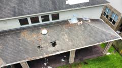 About Pests - Roofers Panoram…