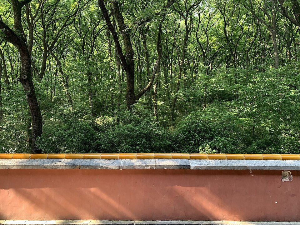 Dynastic History | Ming Xiaoling 明孝陵, Nanjing — The Mound That Has Not Been Opened