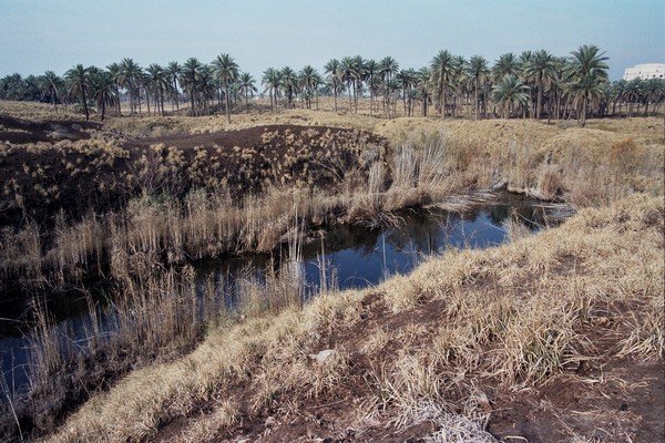 Dynastic History|Etemenanki, Babylon — The Ziggurat That Is Now a Pit Full of Water