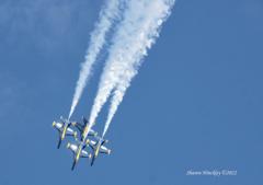Blue Angels Show at Miramar S…