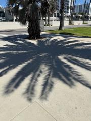 Beachside Walking Spot