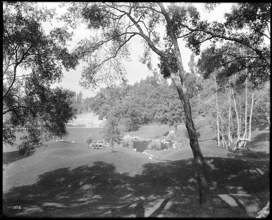The Adventures of Robin Hood | Busch Gardens, South Orange Grove Boulevard — where the golden arrow was split