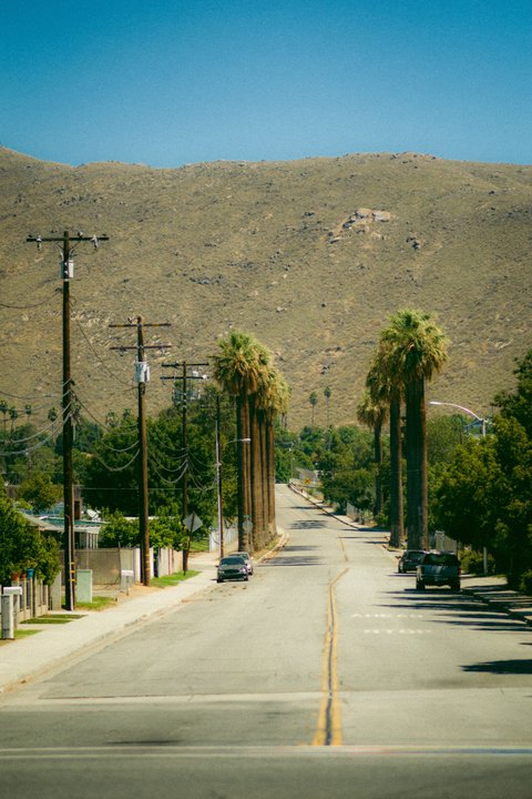 American History X|Archie's Ranch Market — The Aisle Where the Film Stops Arguing