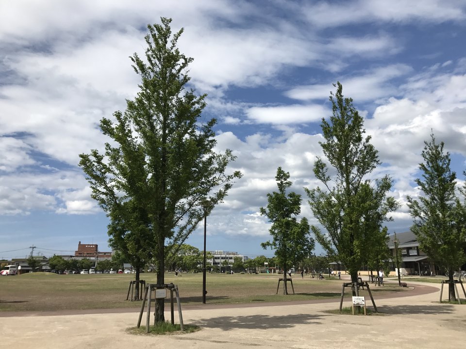 NPB History | Hagi Municipal Stadium Site — Two Home Runs in the Town of the Restoration