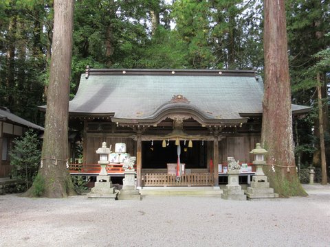 光が死んだ夏 | 御杖神社 — 鳥居の先へ入れない夏祭り