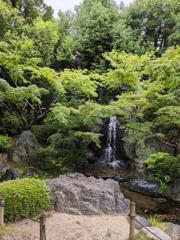 Japanese Garder at Tennonji