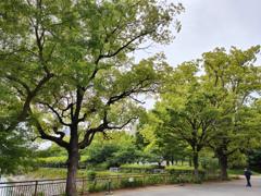 Osaka Castle South Moat