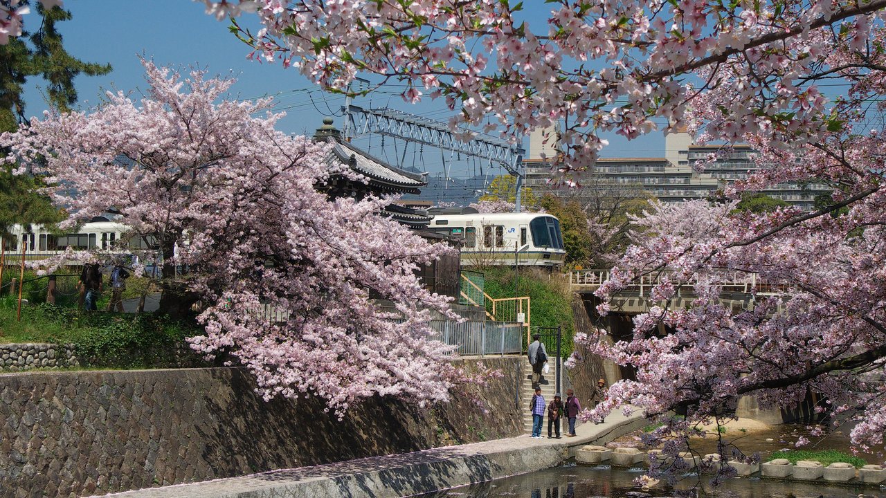 涼宮ハルヒの憂鬱 The Melancholy of Haruhi Suzumiya | 夙川河川敷 Shukugawa Riverside — 未来人の告白を聞く道