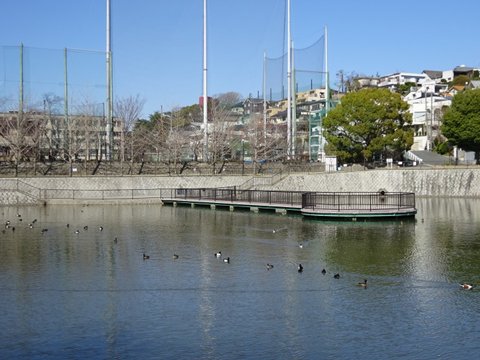 涼宮ハルヒの憂鬱 | 新池（みくる池） — 円形桟橋の落水…