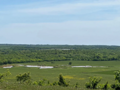 Cattle Ranch Holdenville, Okl…