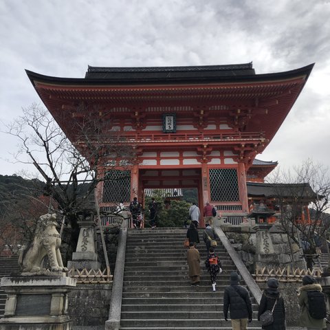 俺ガイル Oregairu | 清水寺 Kiyomizu-…