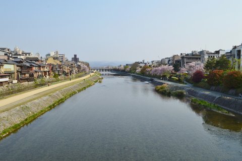 3月のライオン | 四条大橋・鴨川 — ひなたを見つけた河岸