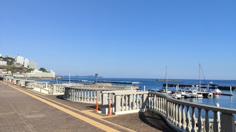 クレヨンしんちゃん 嵐を呼ぶ 栄光のヤキニクロード | 親…