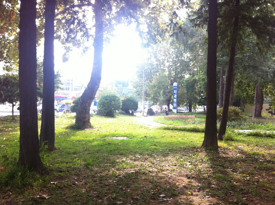 Reborn Rich | Chonnam National University — The Gwangju Campus That Played Seoul National — photo 2