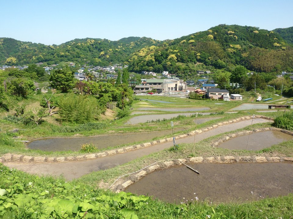 イジらないで、長瀞さん Don't Toy with Me, Miss Nagatoro | 上山口の棚田 Kamiyamaguchi Rice Terraces — 海辺だけではない葉山