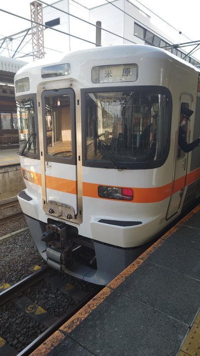 青春ブタ野郎はバニーガール先輩の夢を見ない | 大垣駅 — 逃げた先でも消えなかった先輩