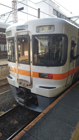 青春ブタ野郎はバニーガール先輩の夢を見ない | 大垣駅 —…