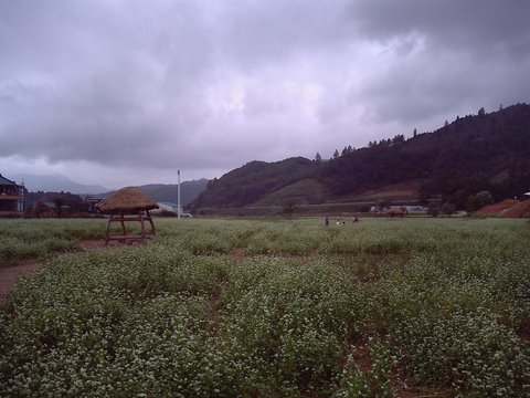 Goblin | Hakwon Farm, Gochang…