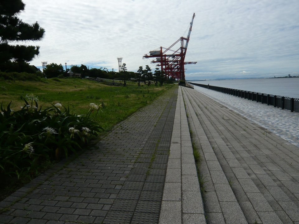 J-Drama Pilgrimage | 掟上今日子の備忘録 (2015) — 青海南ふ頭公園 / The Seaside Conversation