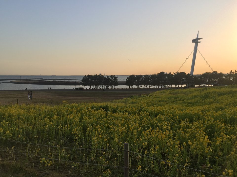 彼女、お借りします | 葛西臨海公園 — 瑠夏が距離を詰めた誕生日