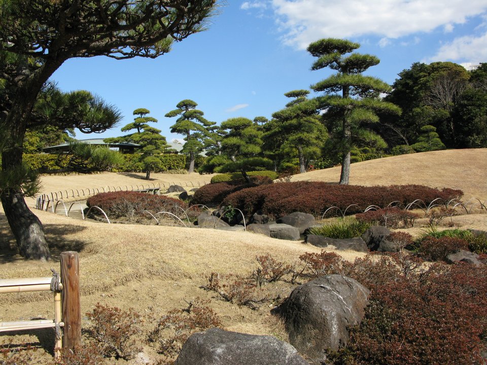 ヒカルの碁 | 日本棋院囲碁研修センター — The Insei Road in Makuhari