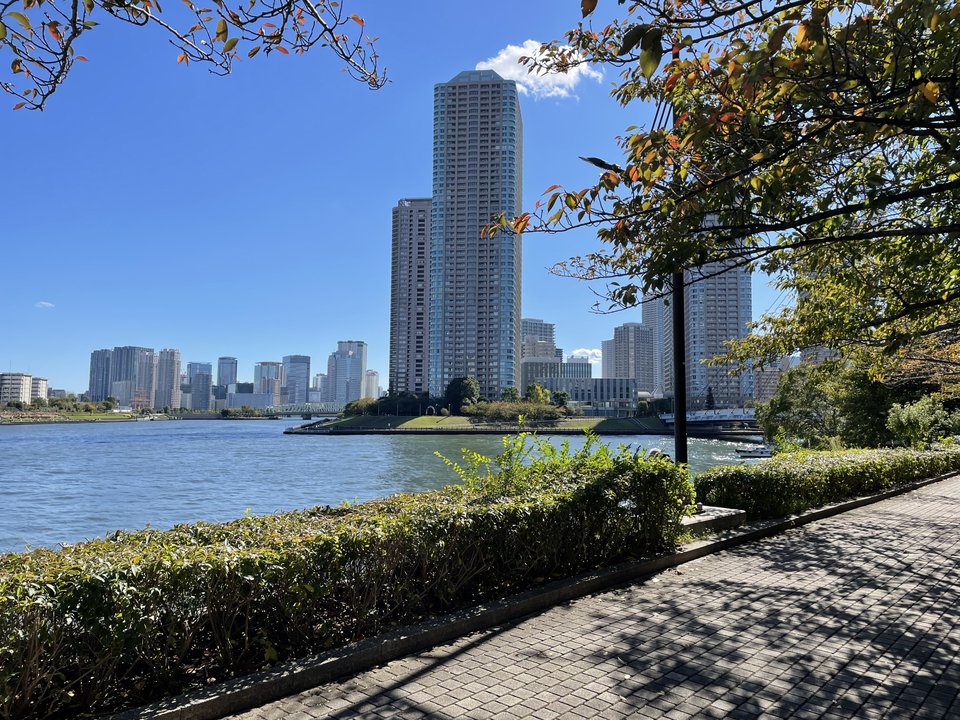 3月のライオン | 石川島公園 — 熱い言葉が川風に残る帰り道