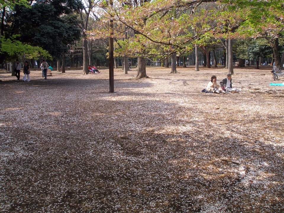 Technology History | 代々木公園 — The Press Conference Where Nobody Spoke