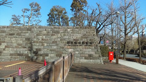 【推しの子】 | 国立国会図書館 — Akane Buil…