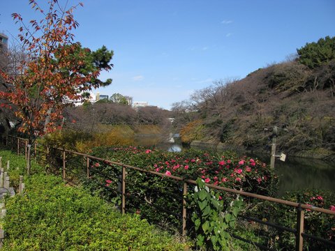 すずめの戸締まり | 千鳥ヶ淵 — 傷だらけで戻る水辺