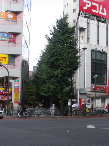 劇場版 呪術廻戦 0 | 新宿遊歩道公園・四季の路 — A…