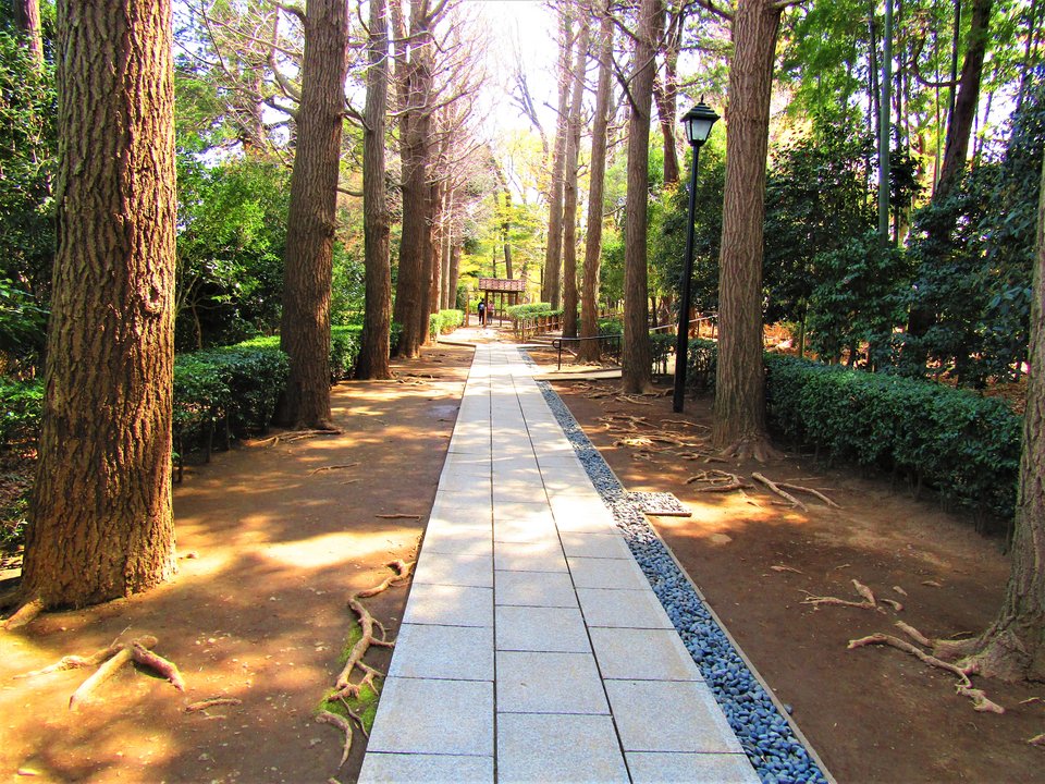 呪術廻戦 | 大田黒公園 — A Curse Beneath the Koi Pond