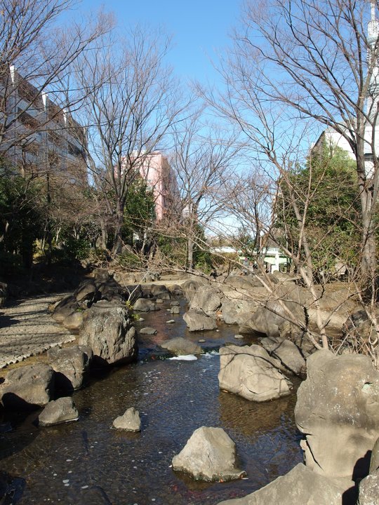 結婚するって、本当ですか 365 Days to the Wedding | 大横川親水公園 Oyokogawa Shinsui Park — 「結婚しませんか」が落ちた水辺