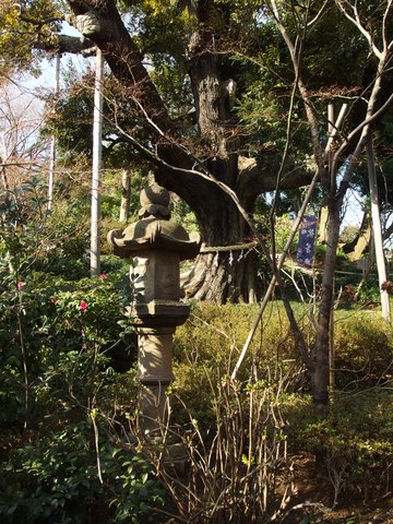 3月のライオン | ホテル椿山荘東京 — 宗谷が音もなく立…