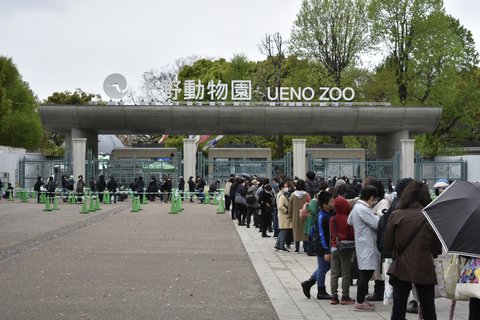 青春ブタ野郎はバニーガール先輩の夢を見ない | 上野動物園…