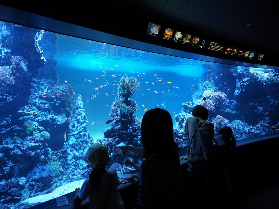 その着せ替え人形は恋をする Season 2 | サンシャイン水族館 — 水槽の青で、イベントがデートになる