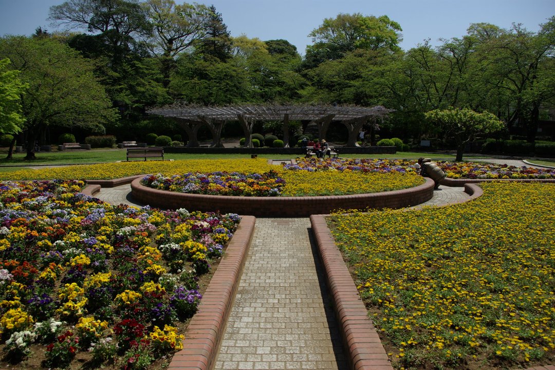 J-Drama Pilgrimage | ようこそ、わが家へ Yokoso, Wagaya e (2015) — 里見公園 / Kenta Searches for Nana