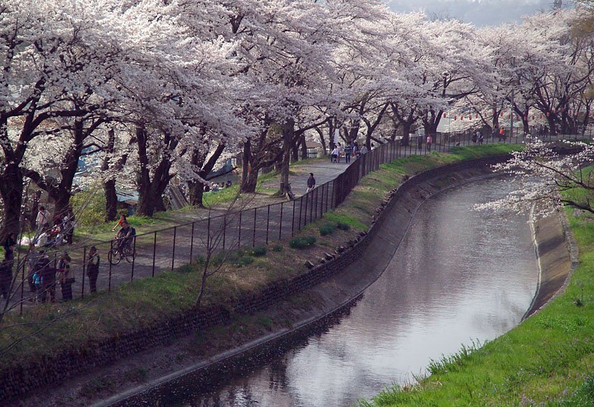 結婚するって、本当ですか 365 Days to the Wedding | 羽村の玉川上水 Hamura Tamagawa Josui — 退屈させるはずの初デート