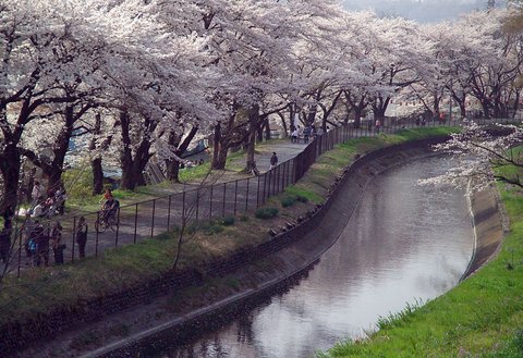 結婚するって、本当ですか 365 Days to the …