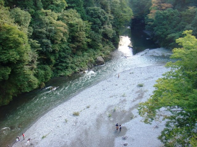 上伊那ぼたん、酔へる姿は百合の花 | 氷川渓谷 — Water Beneath the Side Trip